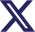 X Icon